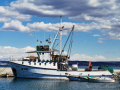 Ship's photo