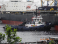 Ship's photo